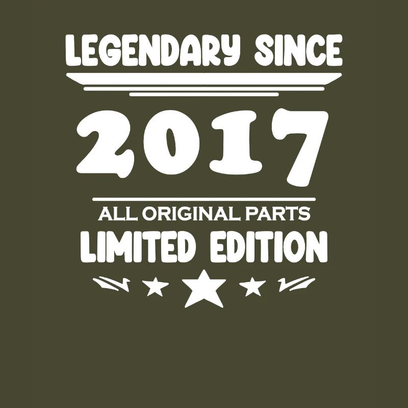 2017 - vintage 2017 - year of construction 2017