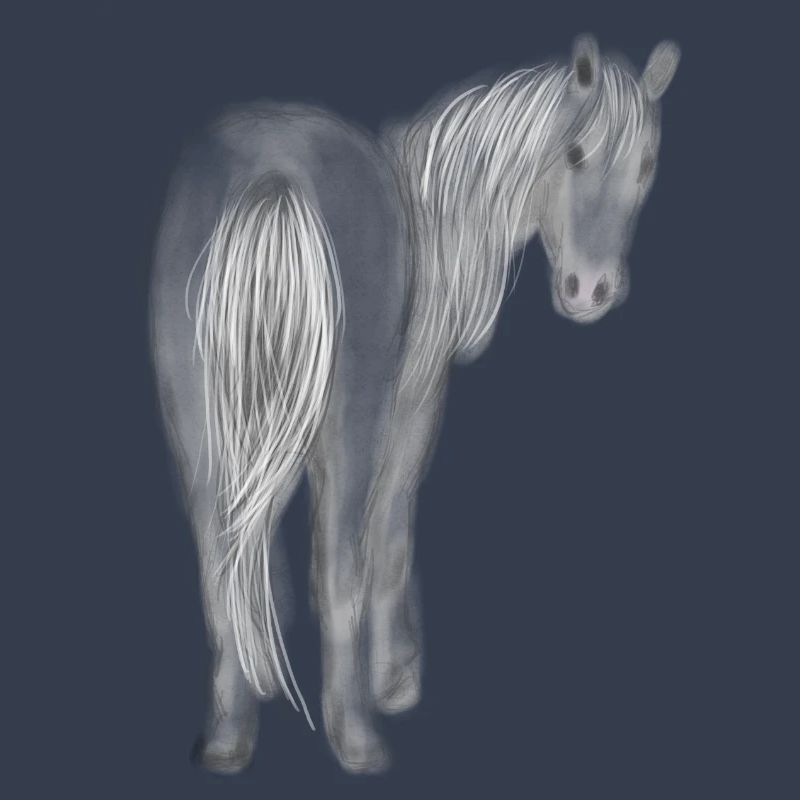 Pferd