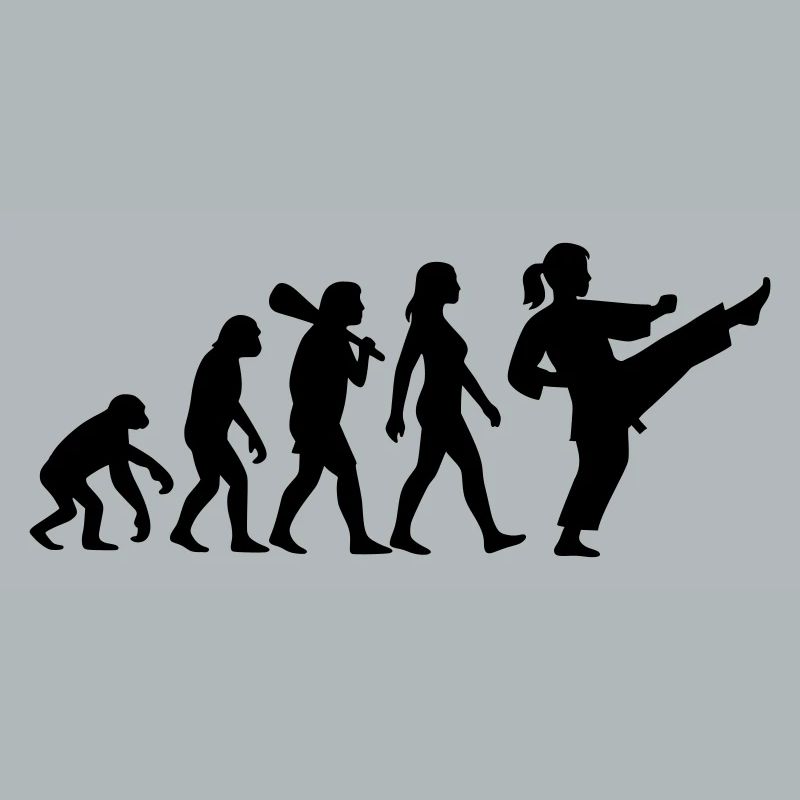 Karate Evolution