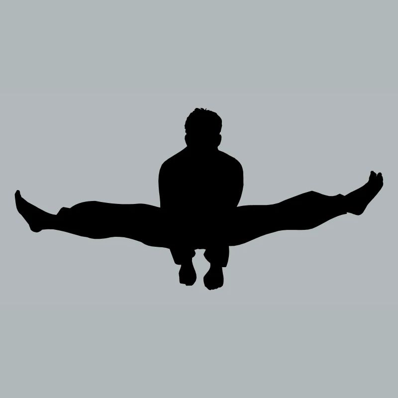 Karate oder Taekwondo Double Kick Schatten