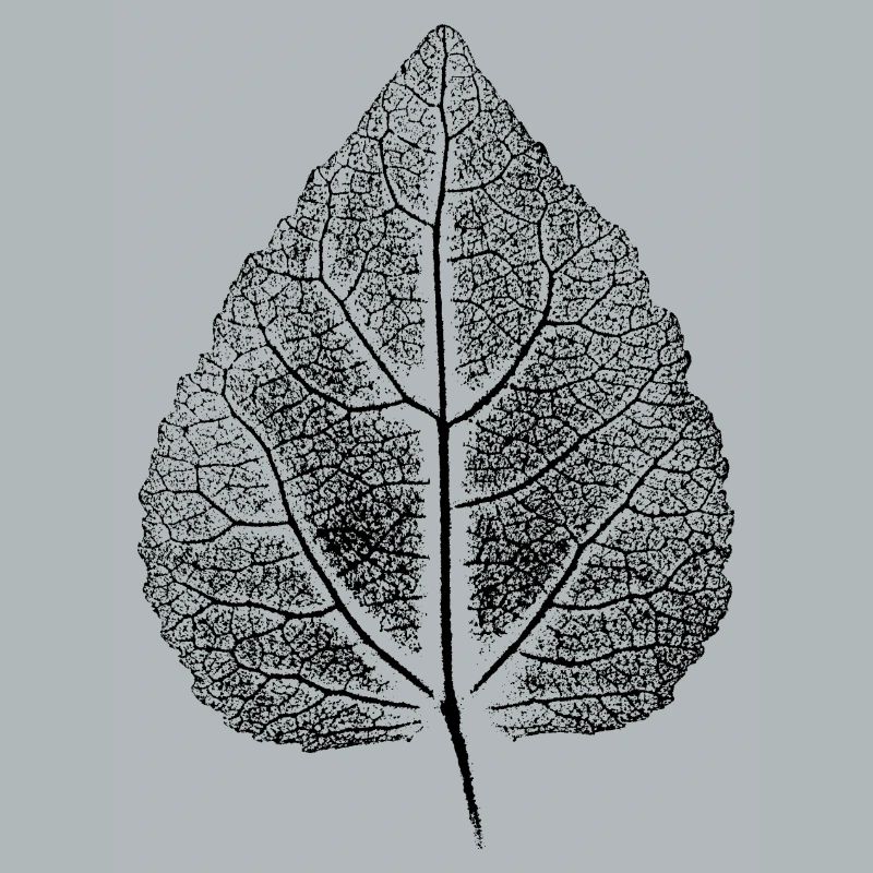 Blatte Linde ANALOG Impression d’art