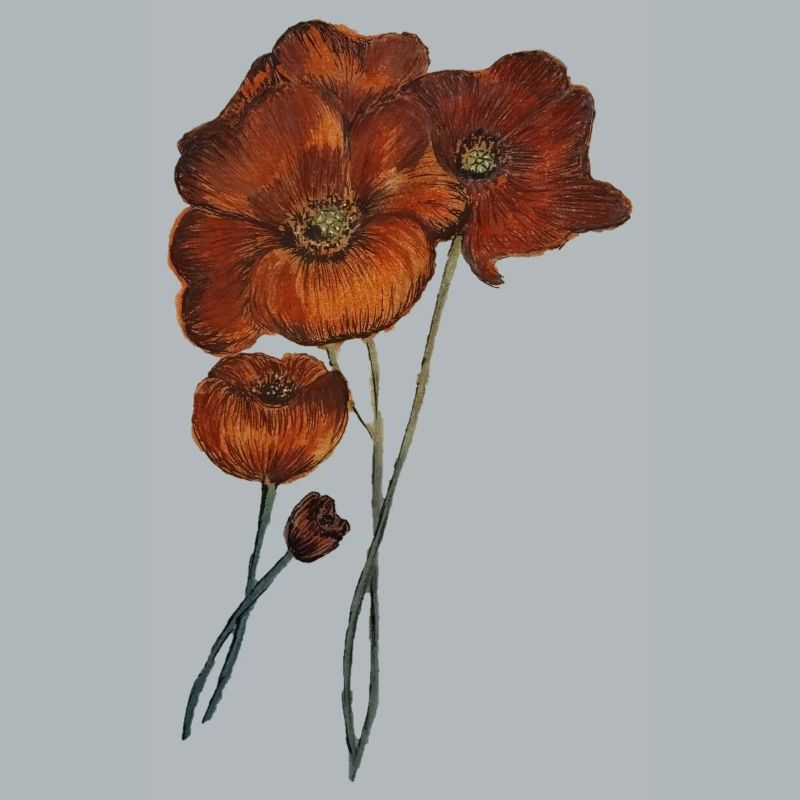 MOHNBLUMEN