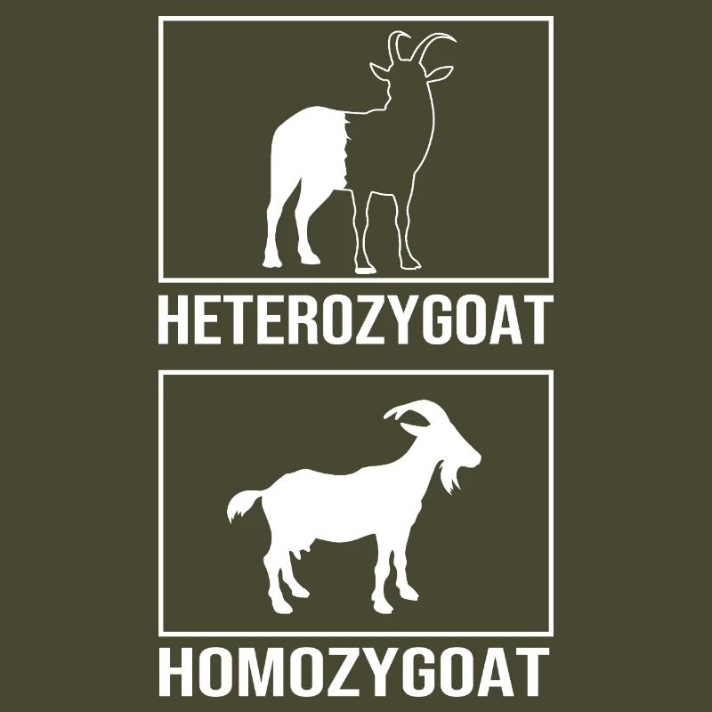Molecule Structural Formula