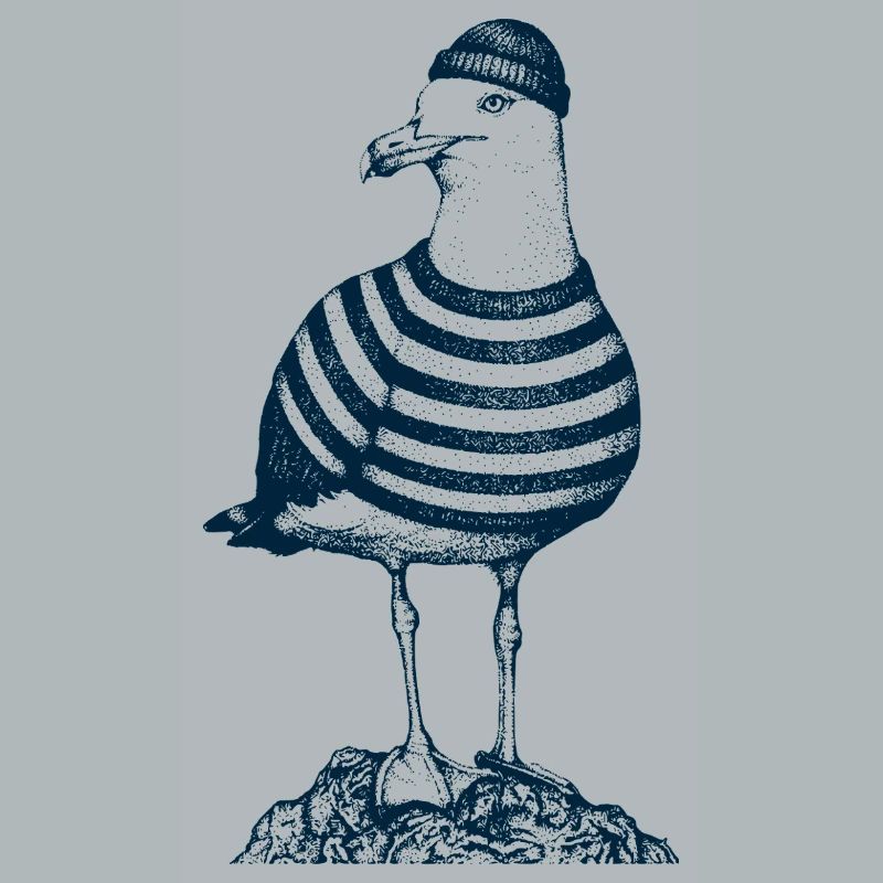 Mouette avec pull