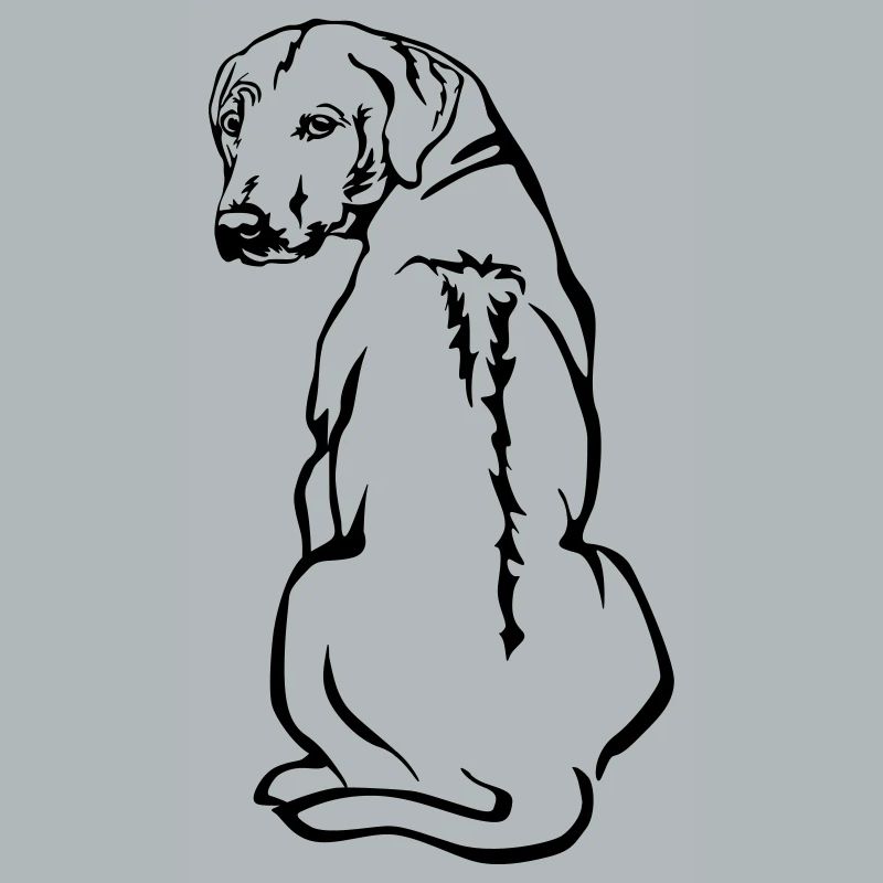 Rhodesian Ridgeback