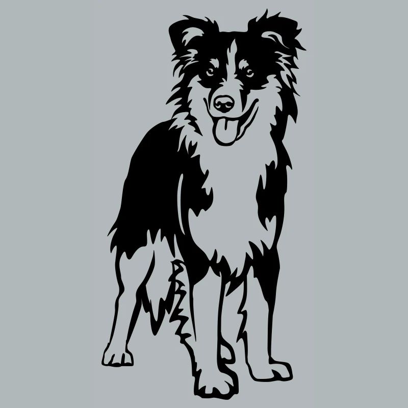 Australian Shepherd