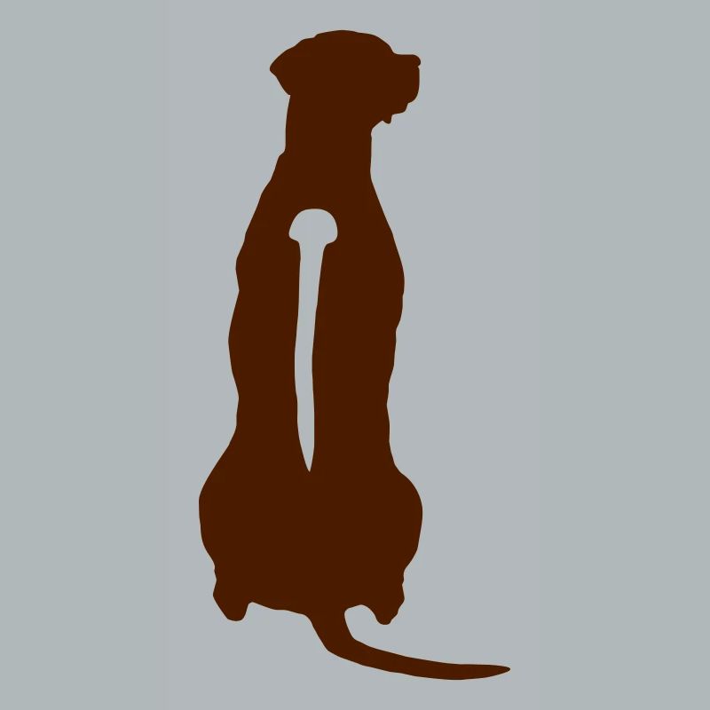 Rhodesian Ridgeback Back