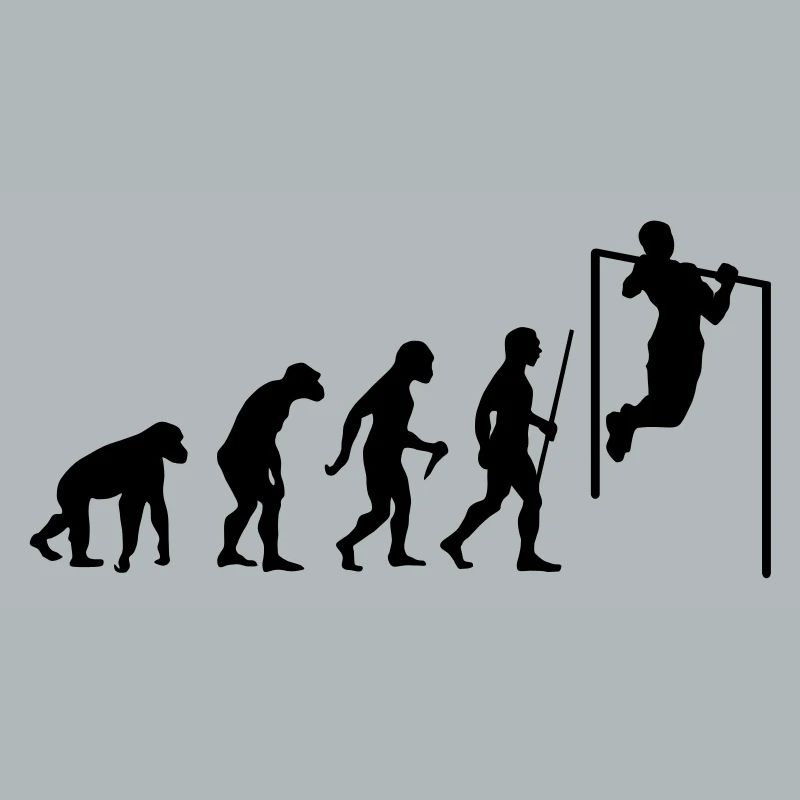 Evolution Pull Up