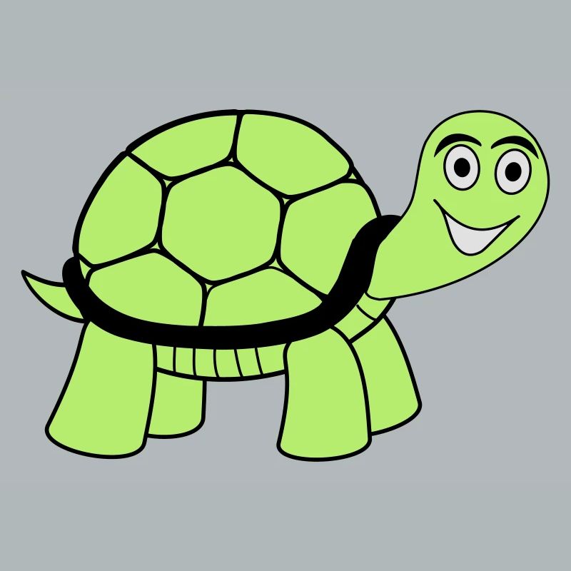 turtle