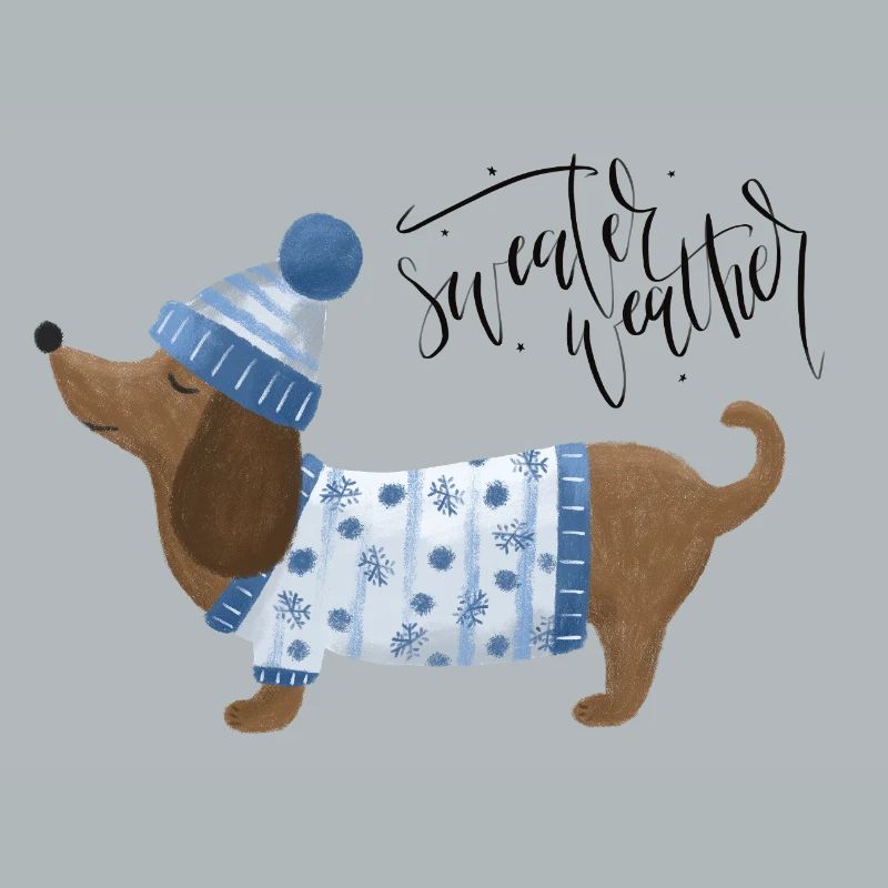 Teckel avec pull et chapeau Pull Météo bleu