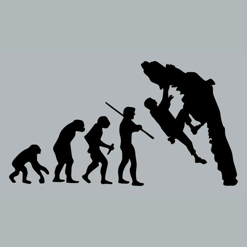 Boulder Evolution