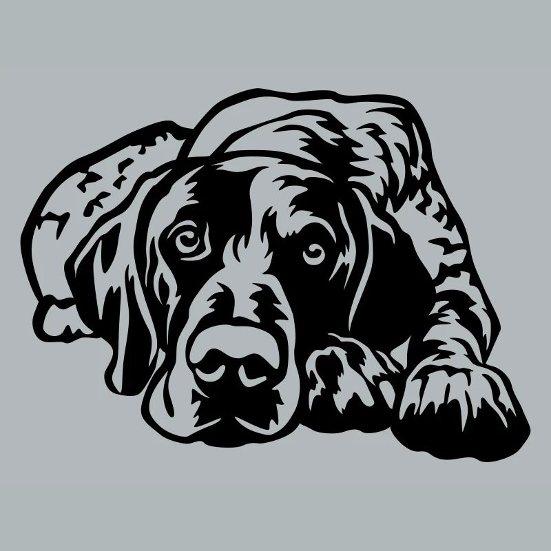 German Shorthaired Pointer