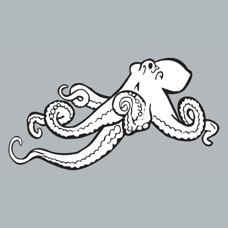 squid giant octopus octopus octopus squid sepia fish