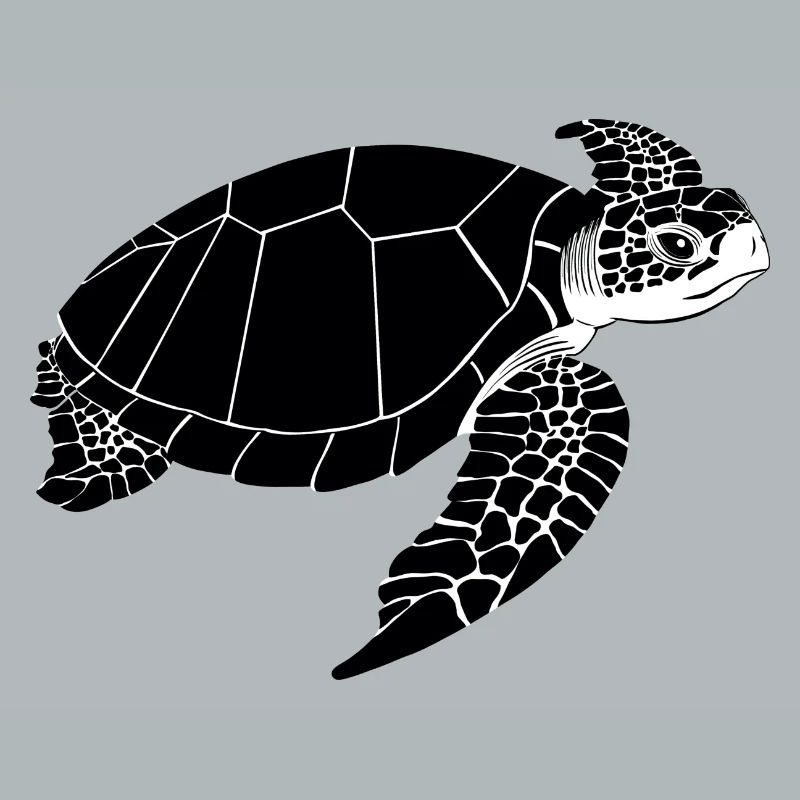 Turtle Black & White