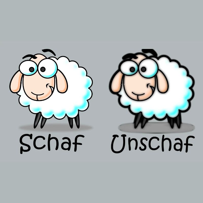 Schaf