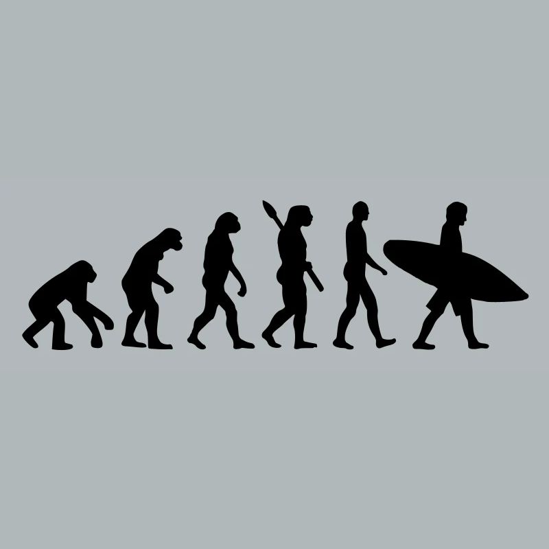 Evolution Surfen