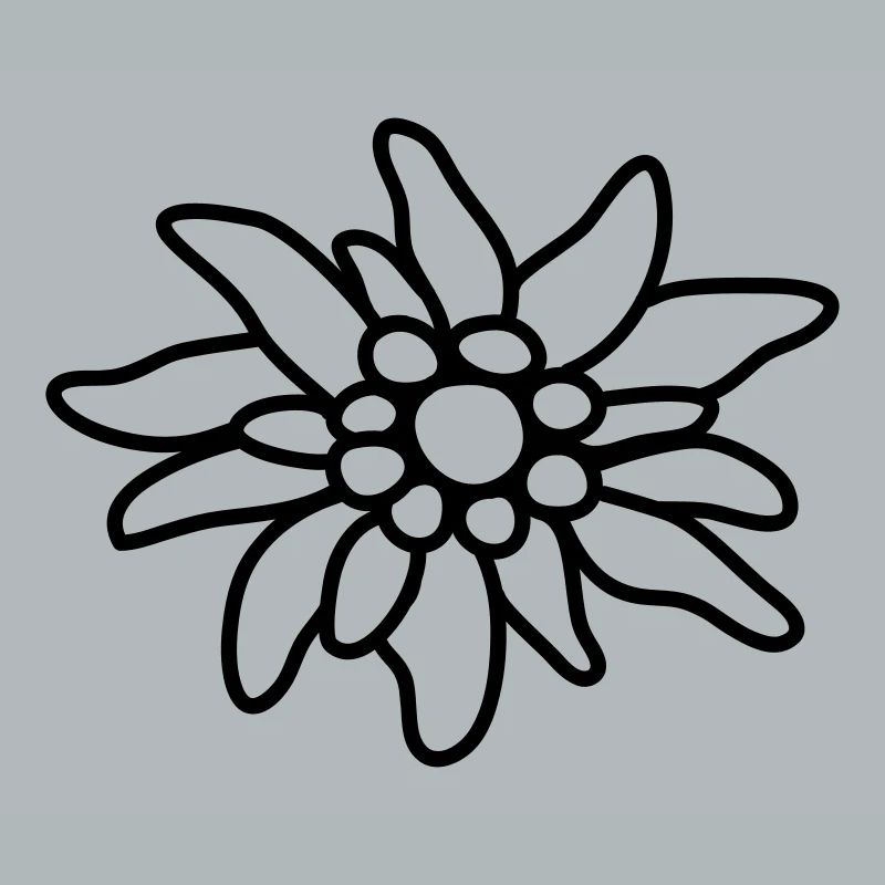 Edelweiss