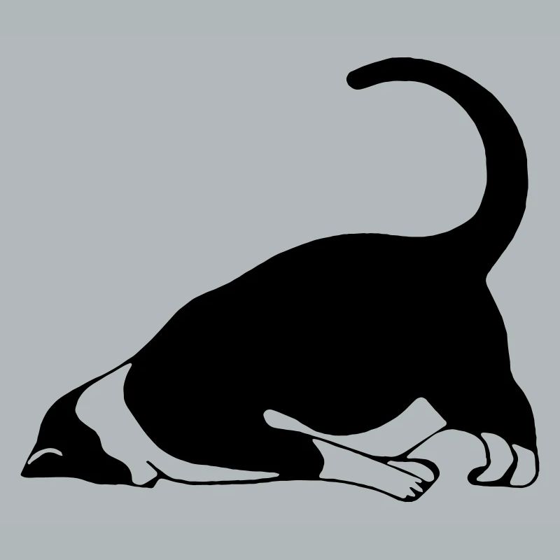 Sleeping cat