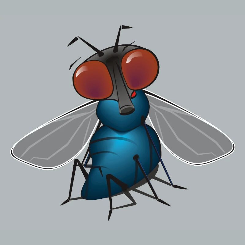 fliege
