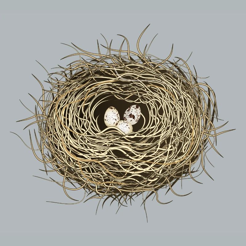 Vogelnest oder Osternest mit drei Vogel Eier