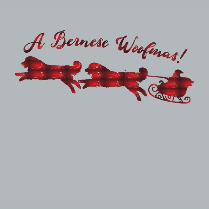 Noël du Bouvier Bernois
