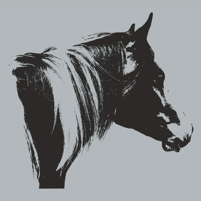 Lewitzer Schecke, Pferd Schecke, Pinto