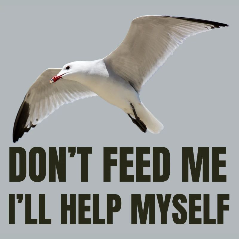 Möwe mit mutigem Statement