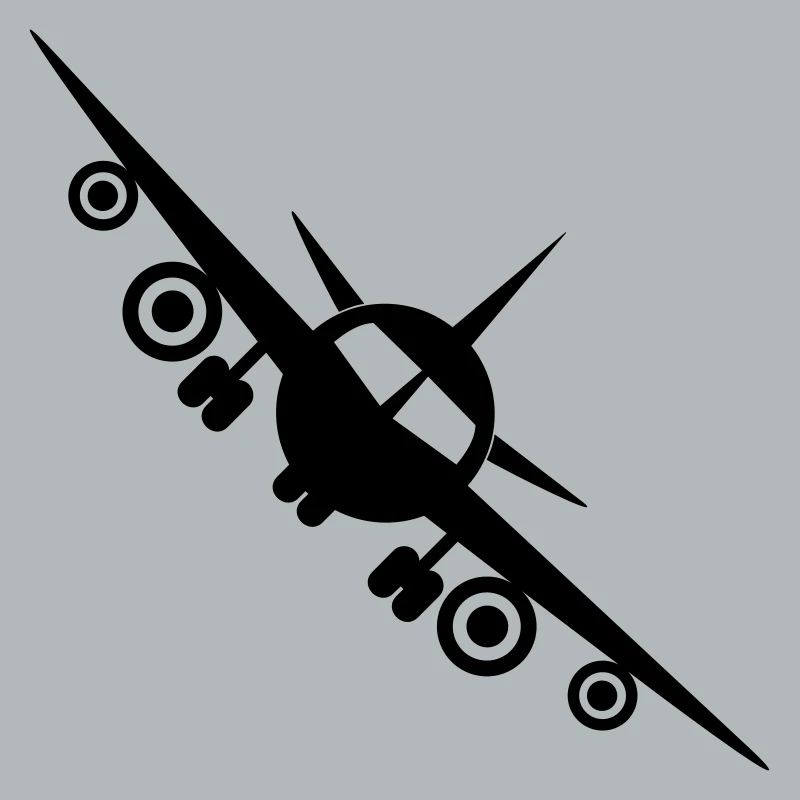 Fly a plane