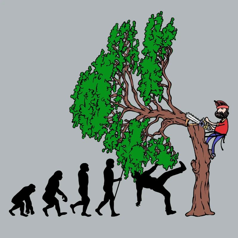 Baum Evolution Holz Holzfäller Baumfäller Wald