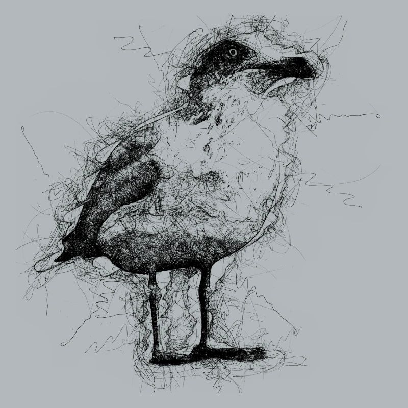 Möwe