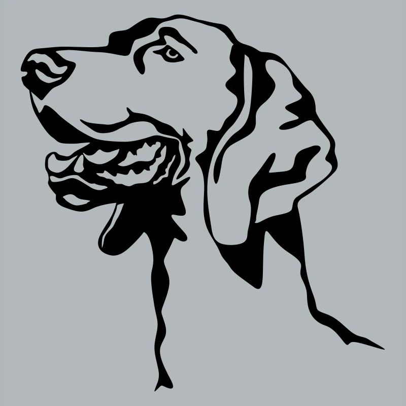 Weimaraner Kopf
