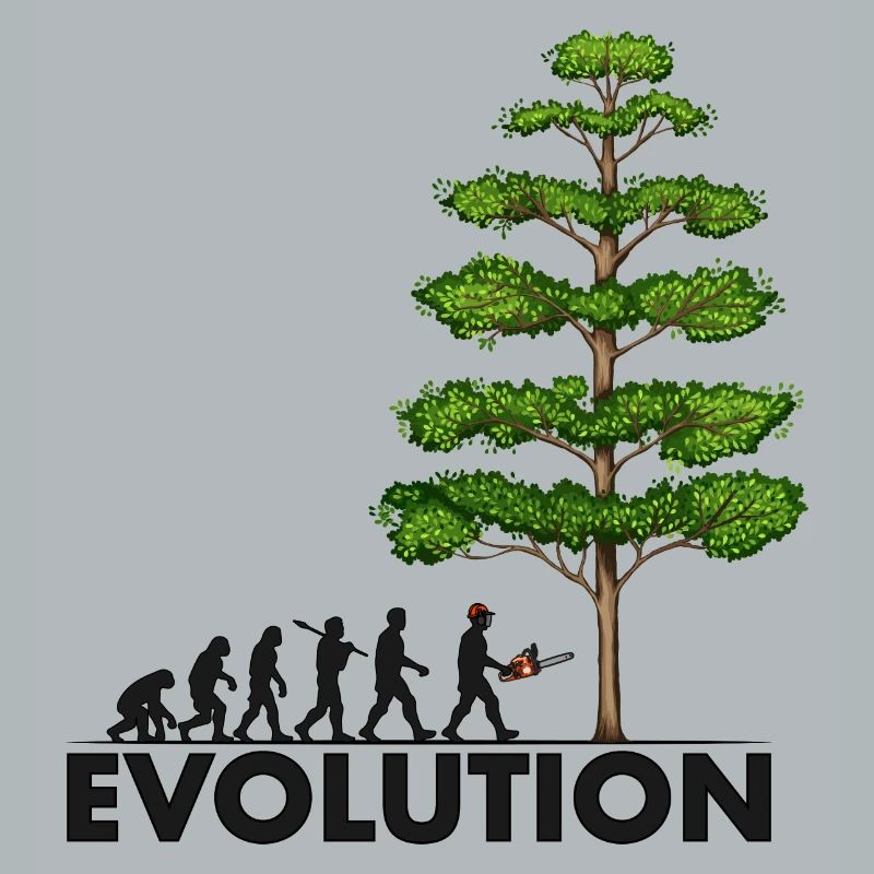 Tronçonneuse Evolution Grey Big Tree