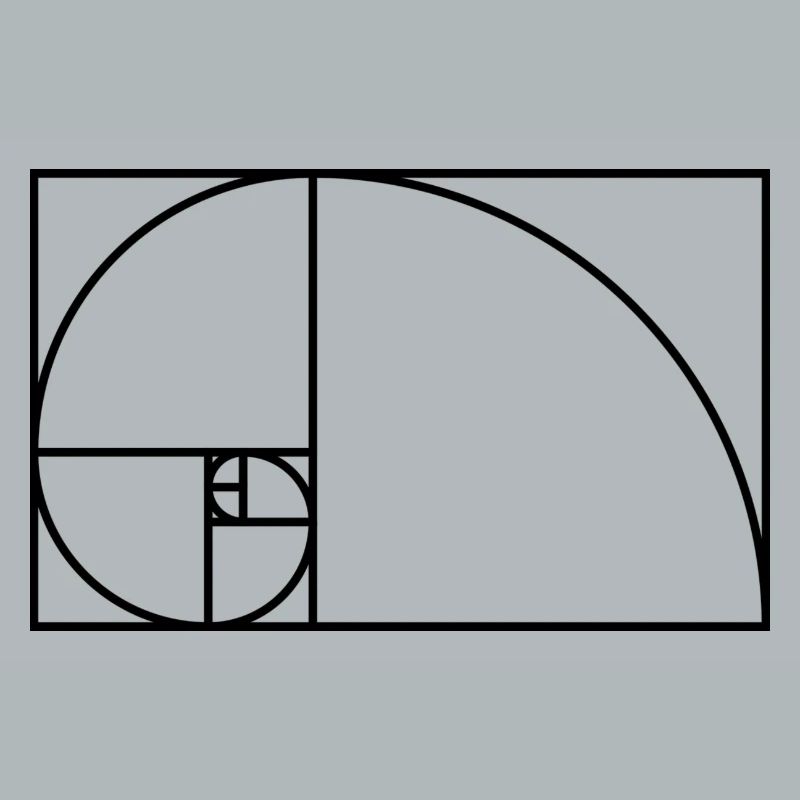 Fibonacci spiral math gift idea nerd