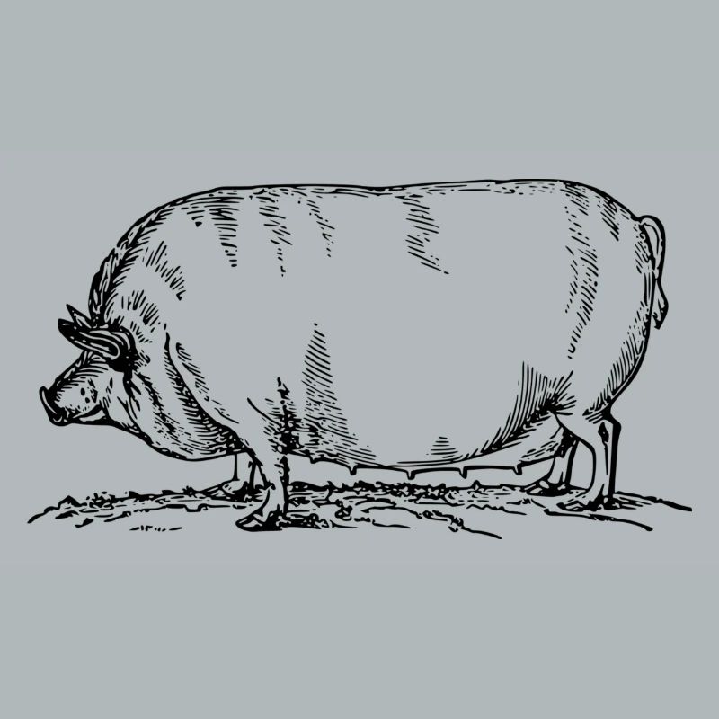 sow