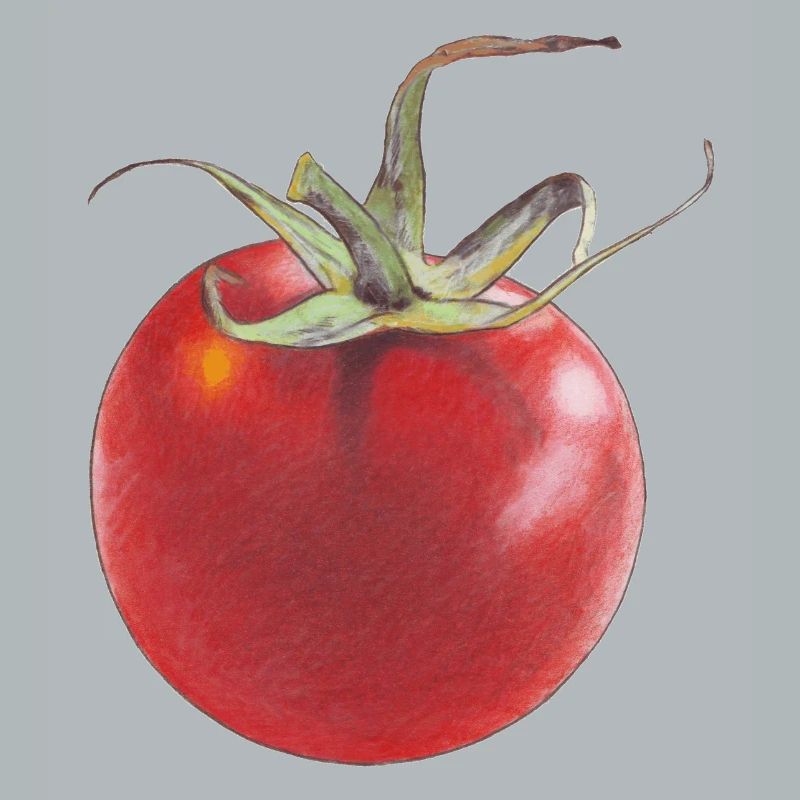 Tomate