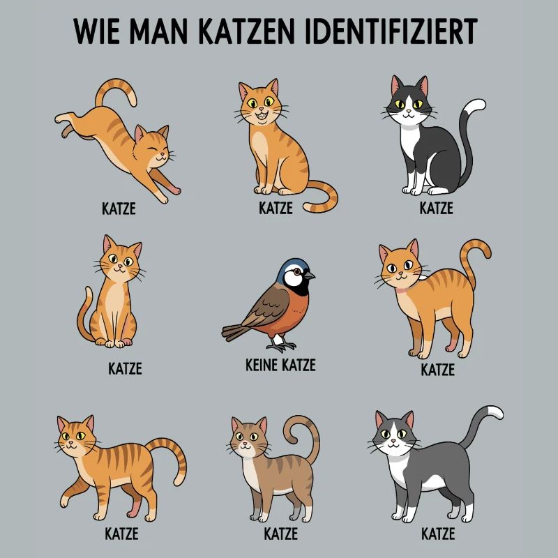 Guide d’identification des chats