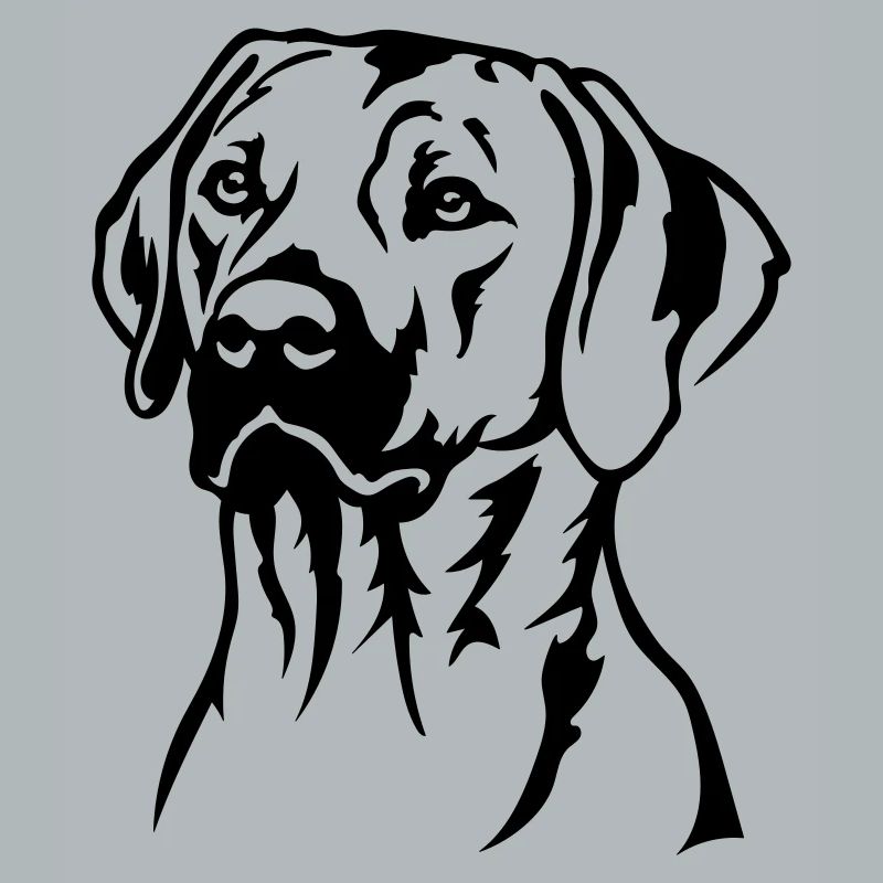 Rhodesian Ridgeback Kopf