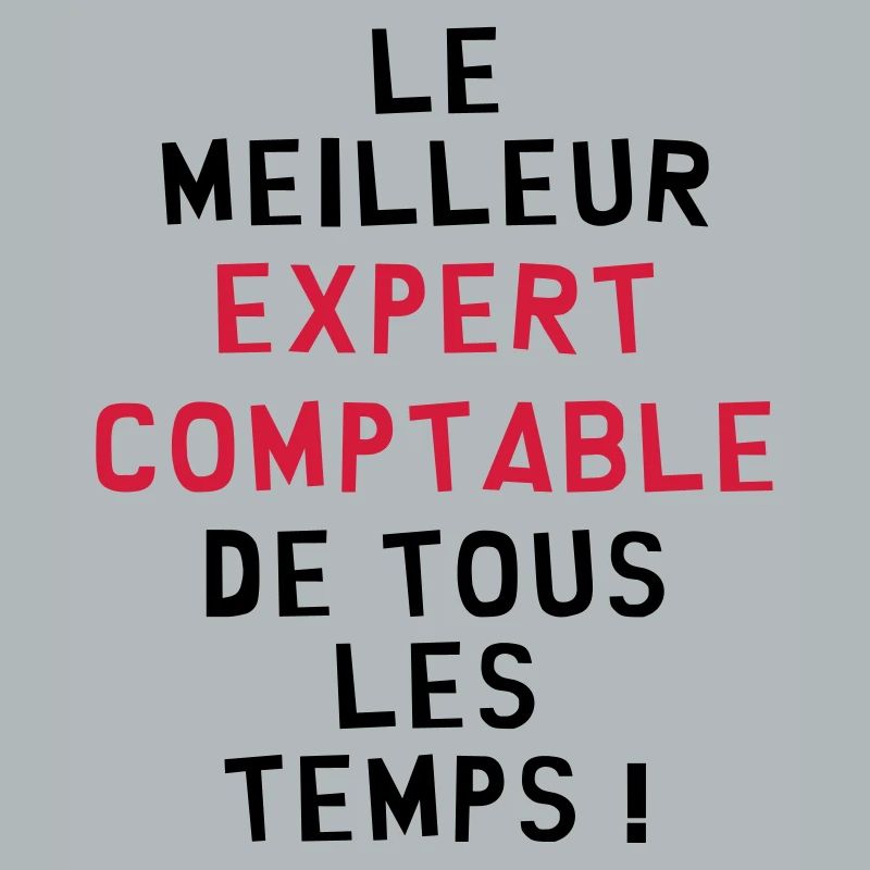 Expert Comptable / Comptabilité / Comptable /