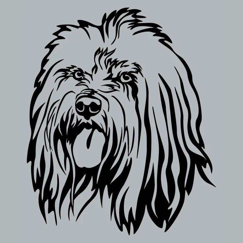 Tête de terrier tibétain