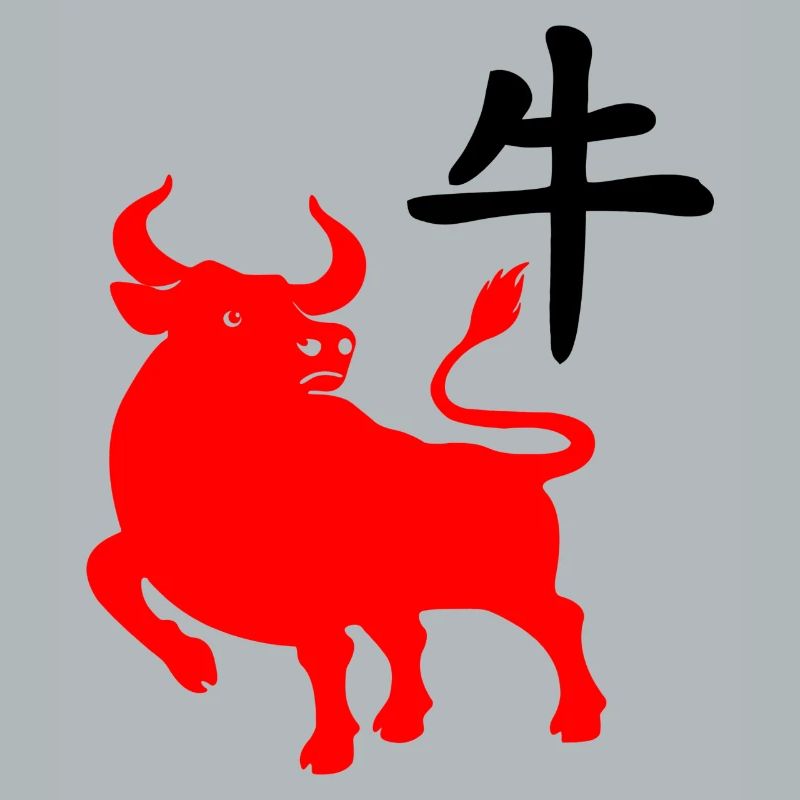 Caractère chinois rouge os avec image du système d’exploitation
