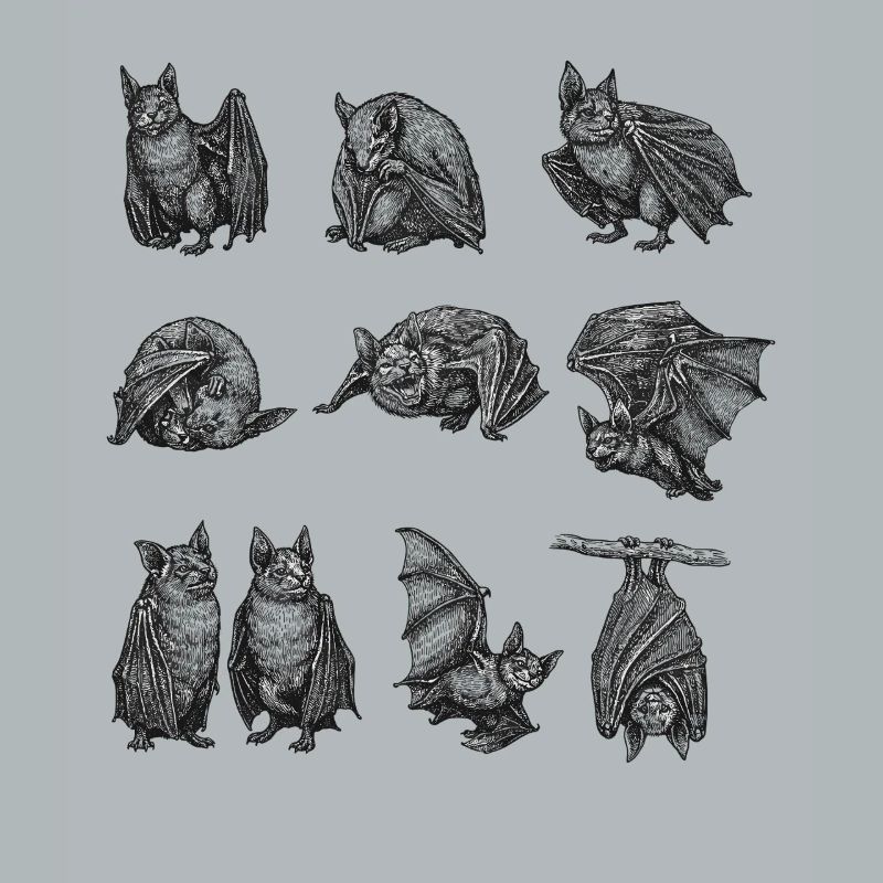 Night Bat Silhouettes Pattern