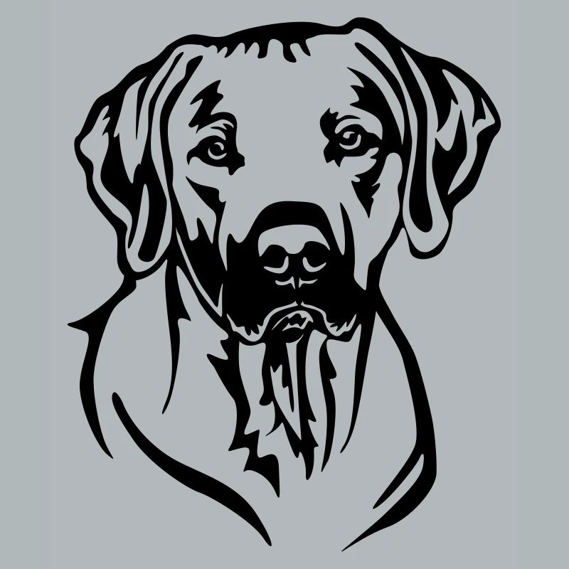 Rhodesian Ridgeback Head