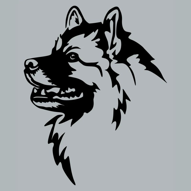 Wolfsspitz Kopf