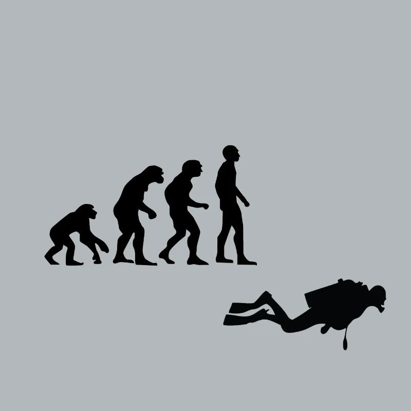 Evolution Tauchen