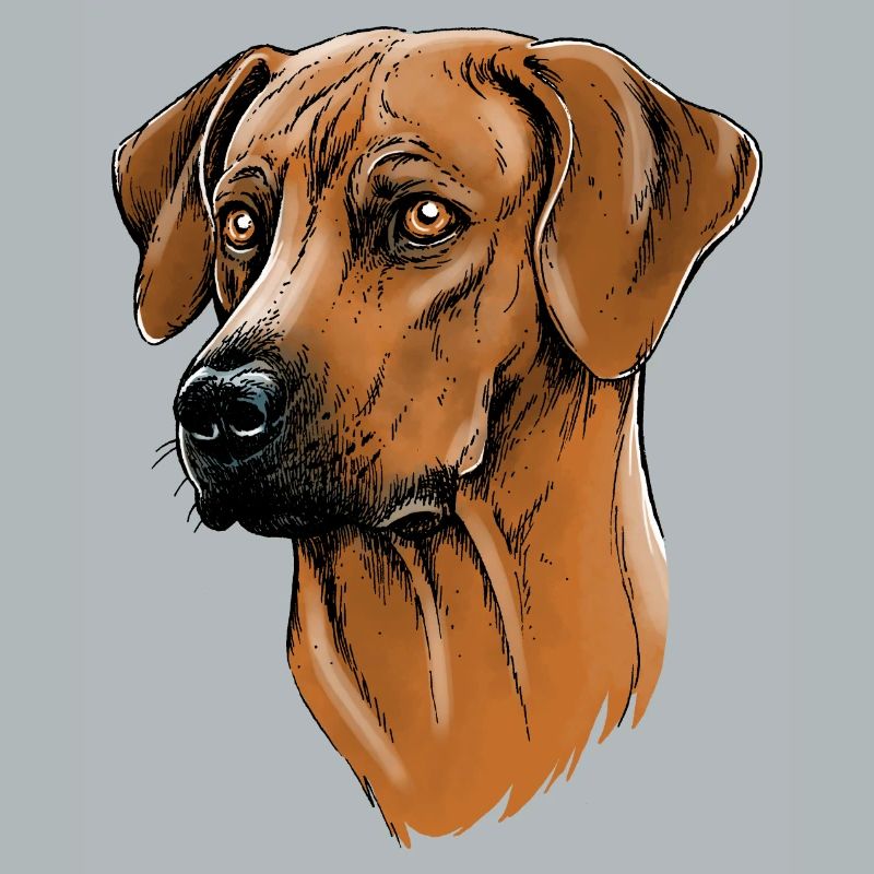 Rhodesian Ridgeback
