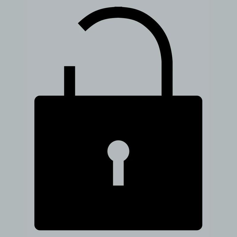 No security no security open lock lock
