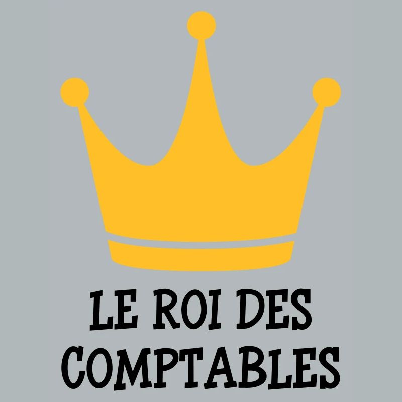 Accountant / Accounting / Comptable / Comptabilité