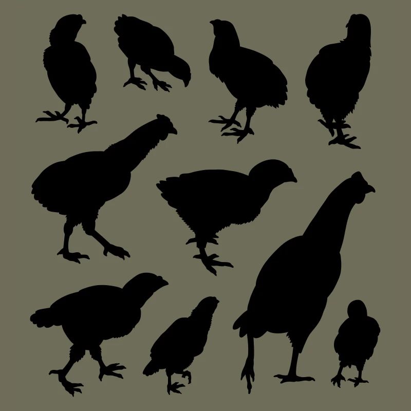 Chicken