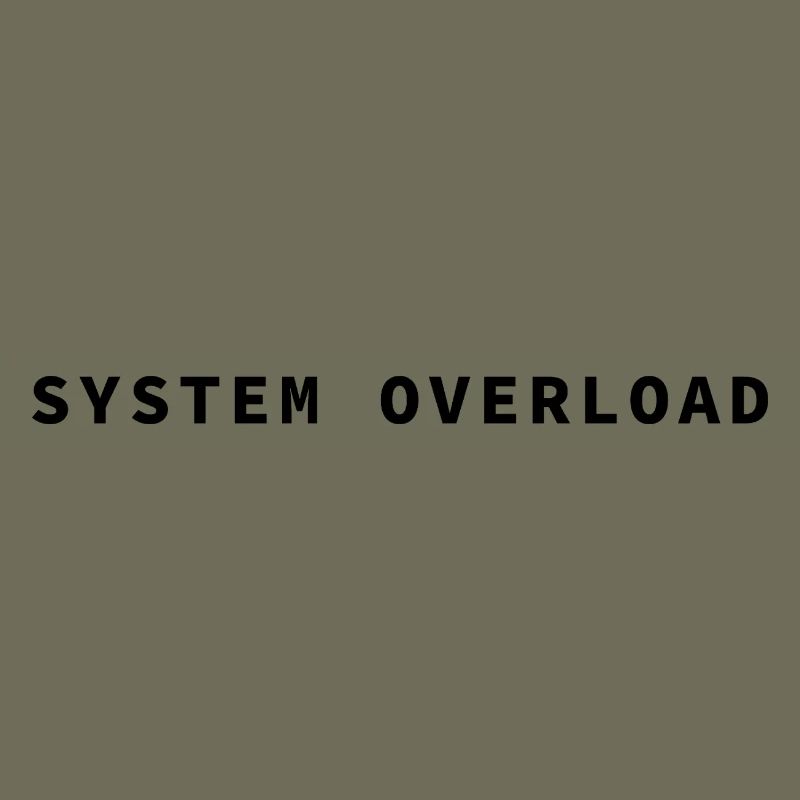SYSTEM OVERLOAD