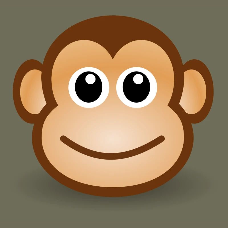 Visage de singe Idée de cadeau